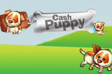 Cash puppy