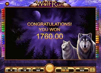 Wolf run