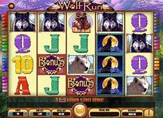 Wolf run