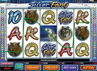 Casino machine a sous Silver Fang