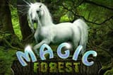 Magic forest