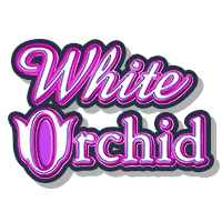 White Orchid