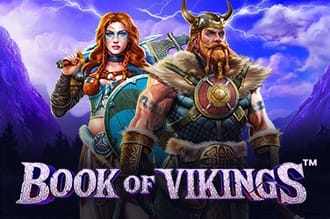 Book of vikings