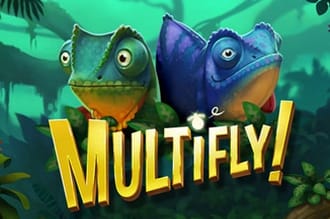 Multifly