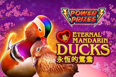 Power prizes eternal mandarin ducks